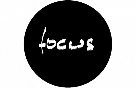 купить камин focus stofocus 2 pivoting